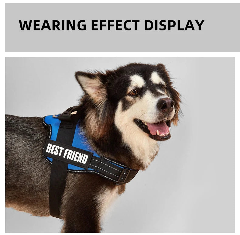Bulldog Corgi Chihuahua Chest Harness For Service Dogs Custom Patches Soft Mesh Padded Dog Training Vest For Small And Large Dog
