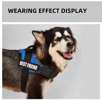Bulldog Corgi Chihuahua Chest Harness For Service Dogs Custom Patches Soft Mesh Padded Dog Training Vest For Small And Large Dog