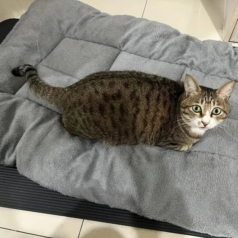 Large Size Ultra Soft Polyester Pet Bed for Dogs and Cats Sofa Cushion Pet Mat for Home
