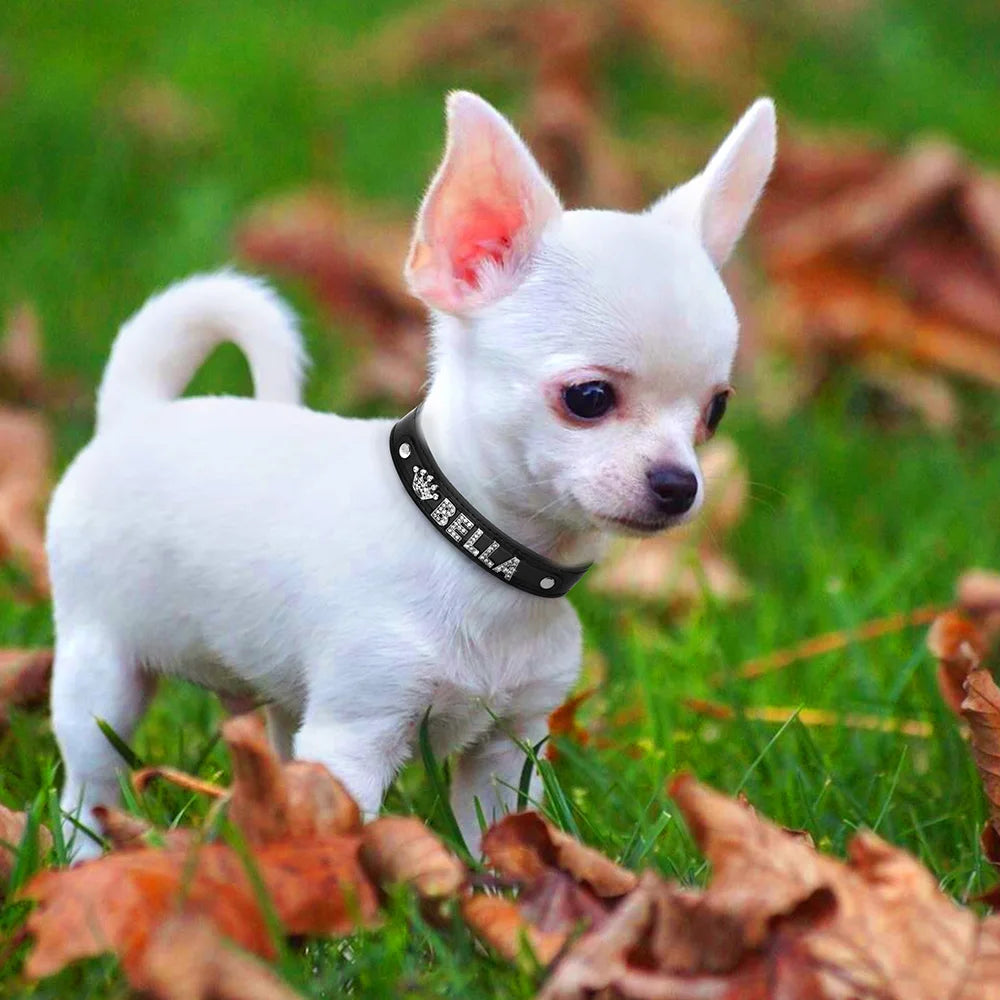 Personalized Small Dogs Chihuahua Collar Bling Rhinestone Dog Collars Free Custom Pet Dogs Cats Name Charms Pet Accessories