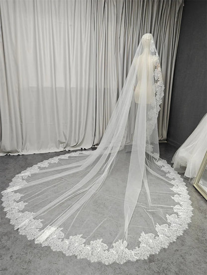 Customized Long Mantilla Veil with Eyelash Lace, 2.5m/3m Ivory Veil with Hidden Comb, Chantilly Eyelash Lace Wedding Veil