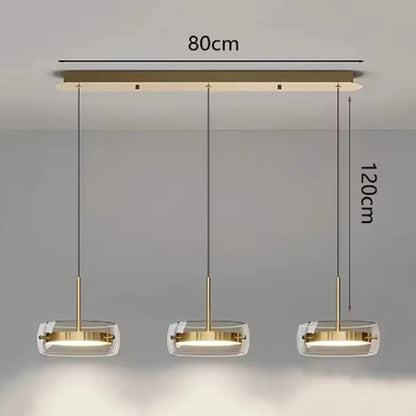 Modern home decor led lights pendant light lamps for living room Chandeliers for dining room hanging light indoor lighting