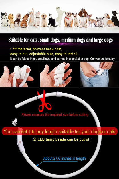 Adjustable USB Rechargeable LED Dog Collar - Multi-Color, 4 Flashing Modes, Cut-To-Fit Design for Nighttime Safety & Visibility