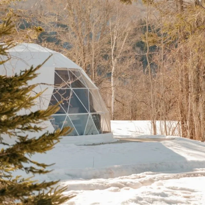PVC Geodesic Dome Tent, Waterproof Windproof Snow Resistant Luxury Glamping Tent for Resort Hotel Outdoor Party Event Shelter
