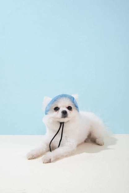 Pets Hat with Ear Holes Adjustable Baseball Cap for Medium Small Dogs Summer Dye Cats Sun Cap Pet Outdoor Hat Pet Supplies
