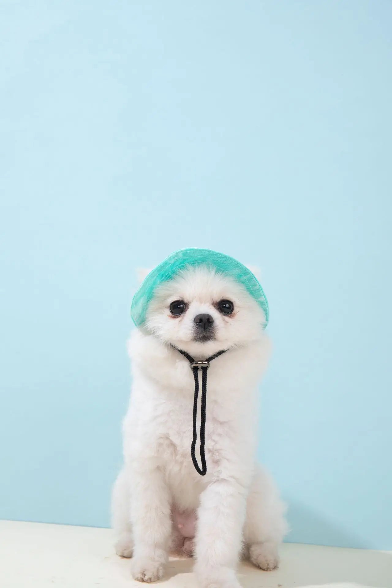 Pets Hat with Ear Holes Adjustable Baseball Cap for Medium Small Dogs Summer Dye Cats Sun Cap Pet Outdoor Hat Pet Supplies