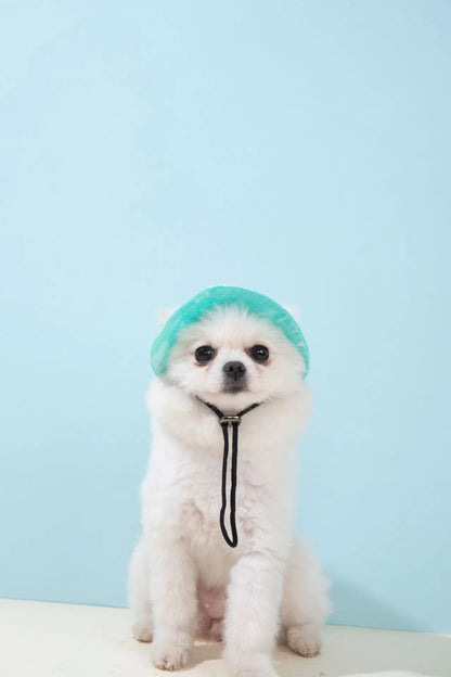 Pets Hat with Ear Holes Adjustable Baseball Cap for Medium Small Dogs Summer Dye Cats Sun Cap Pet Outdoor Hat Pet Supplies