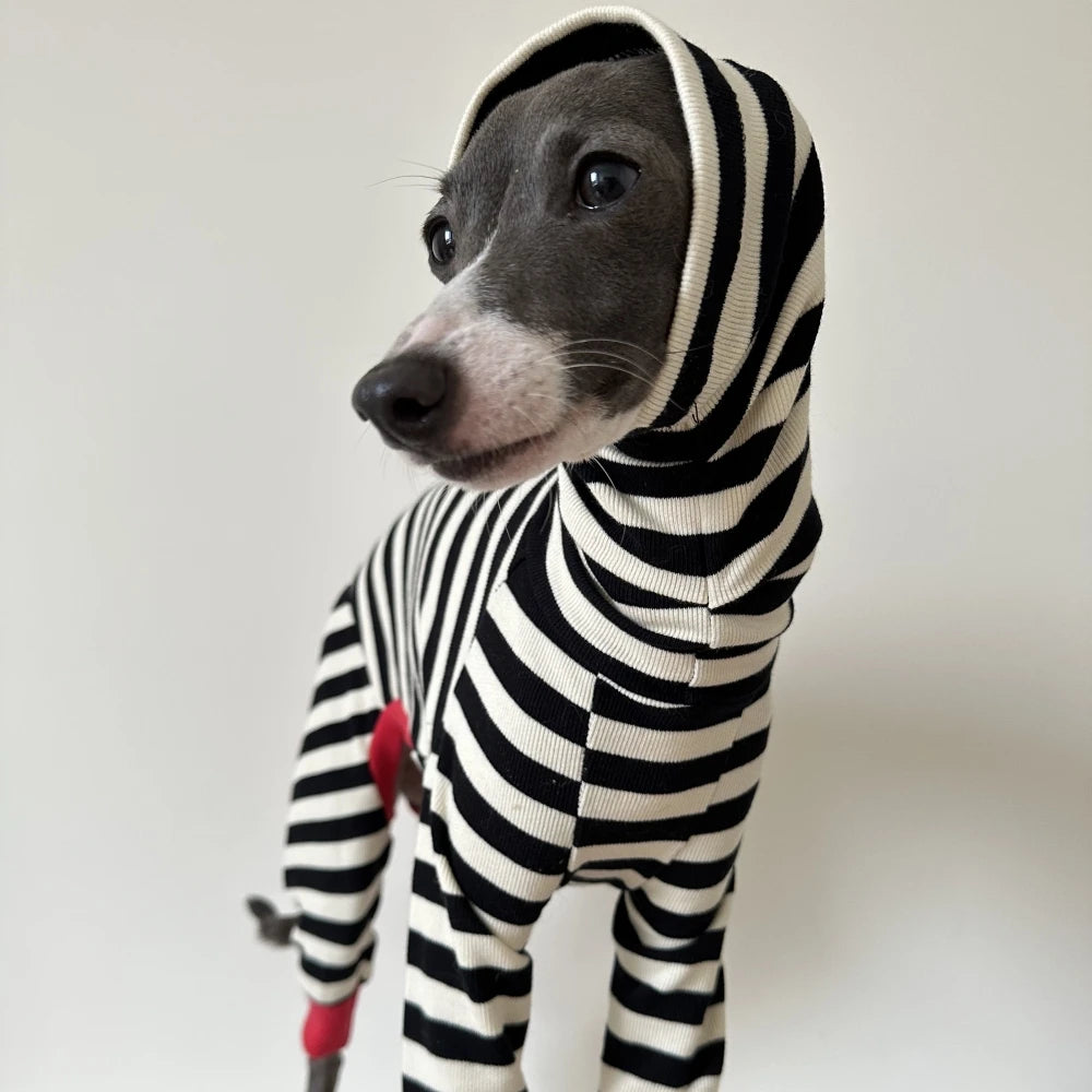 4-legged Cotton Coat for Dog Greyhounds Loungewear Spring Autumn Whippet Dog Black Striped Sweatshirt Bellington High-Neck Shirt