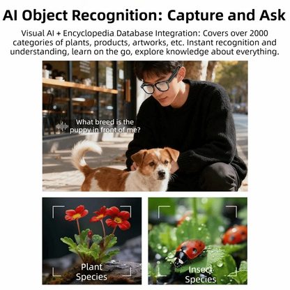 Real-time Translation AI Smart Glasses Anti-Blue Light 1080P Video Recording Smart AI Glasses Waterproof Bluetooth Audio