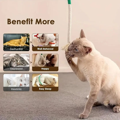 Cotton Cat Chew Toy for Teeth Cleaning Catnip Rope Toys for Indoor Cats Nibbling Exercise Interactive Cat Nip Teething Toys