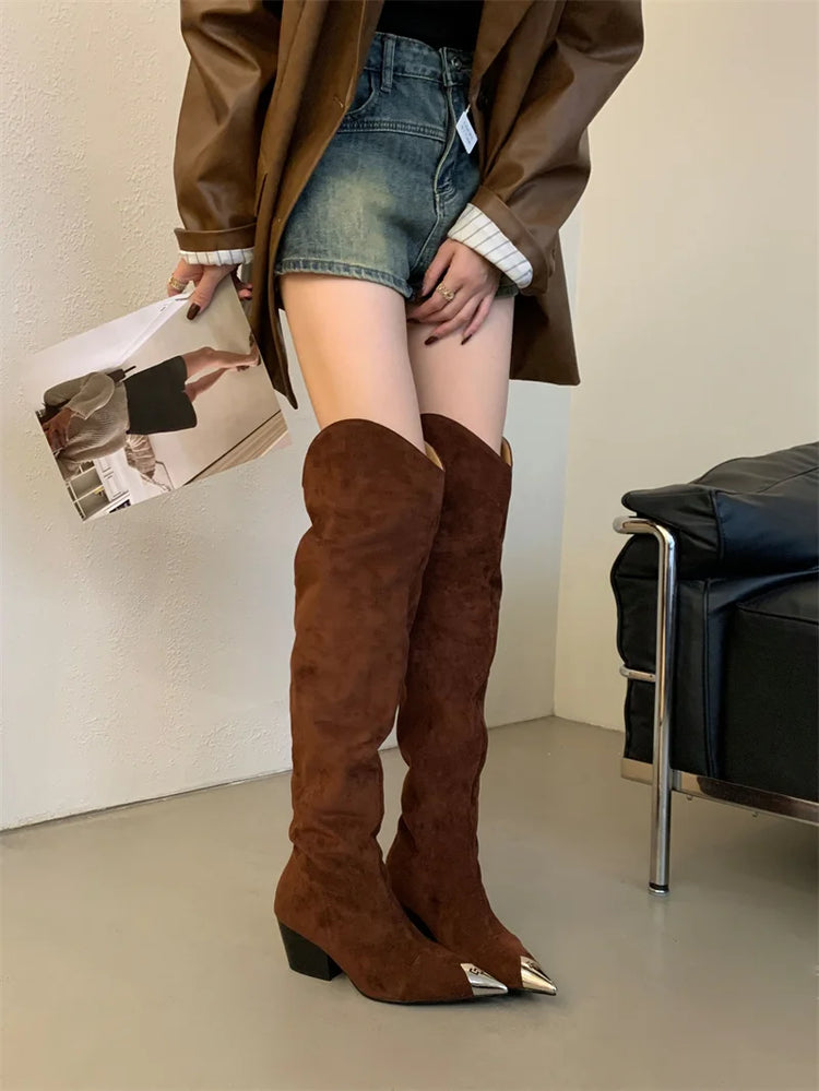 ZAROY Punk Metal Pointed Toe Knee High Boots Women Winter Retro Leopard Print Square Low Heels Pleated Western Cowboy Long Botas