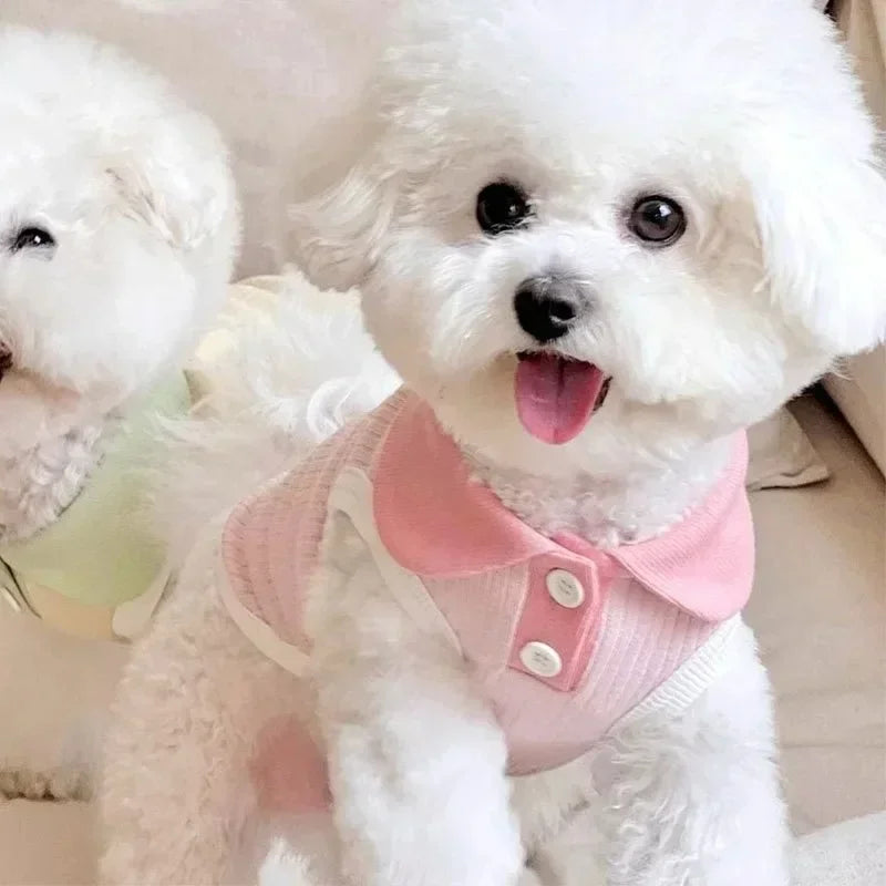 Fashion Pet Polo Shirt Spring Summer Breathable Casual Dog Clothes Soft Skin-friendly Puppy Sweatshirt for Small Medium Breeds