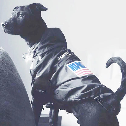 Fashion Pet Dog Clothes  Raincoat Waterproof Reflective Pet Jacket Dog Cat Coat for Small Medium Large Dogs Clothes