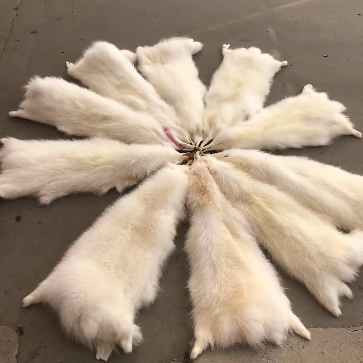 Animal fur pelts real Raccoon dog fur skins high quality Chinese raccoon skin fur