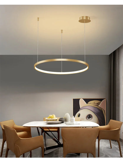 Living Room Ring Pendant Lights Acrylic Led Restaurant Chandelier Modern Minimalist Art Creative Personality Net Red Custom Lamp