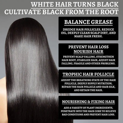 White To Black Hair Oil For Repairing From White To Black Nourishing Moisturizing Scalp Herbal Lotion Liquid Repair Hair Care