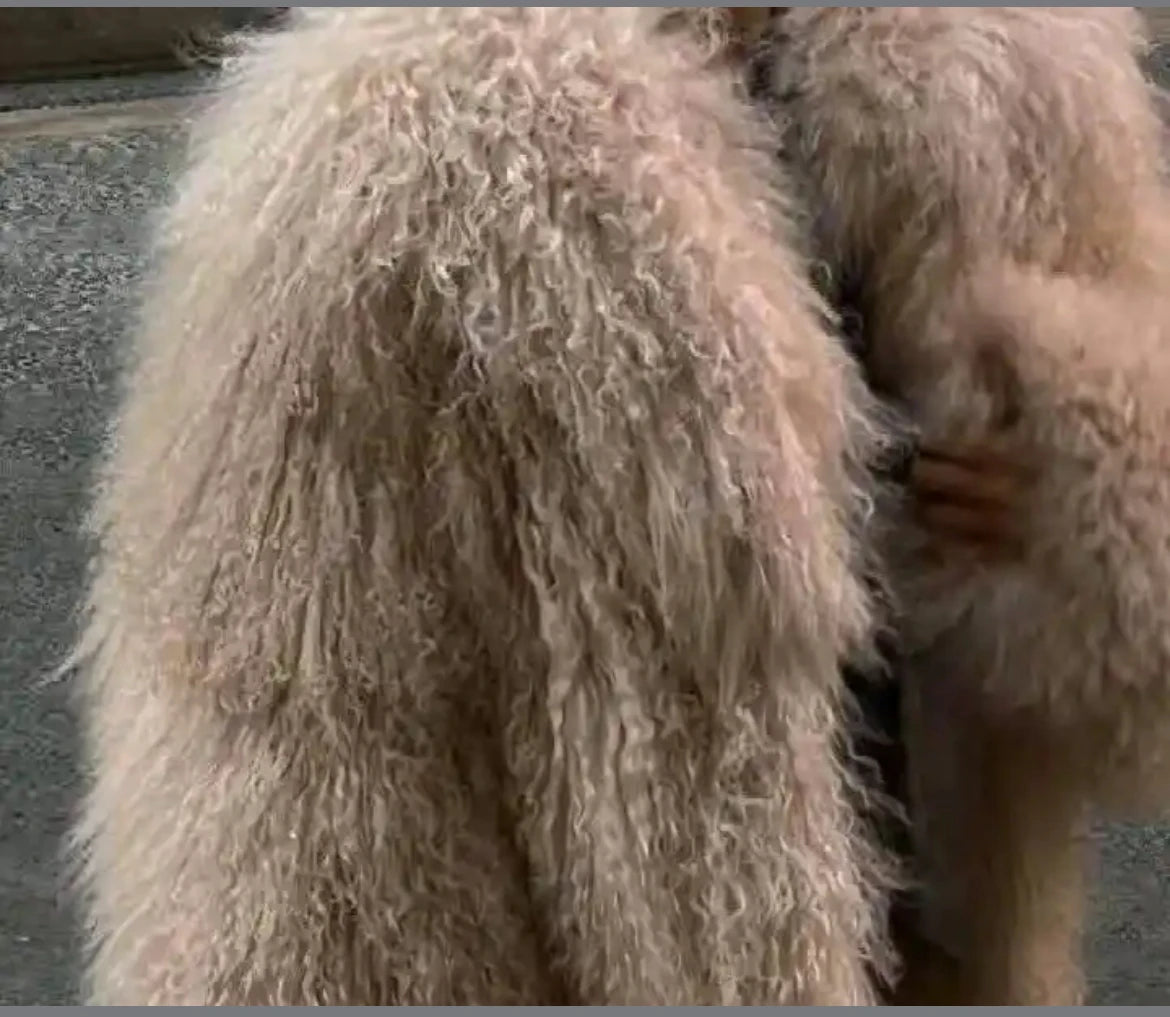 Mongolian Fur Coat Fur Jacket Women's Elegant Fluffy Solid Color Thickened Thermal Long Sleeve Coat Winter Fashion Oversized Lad