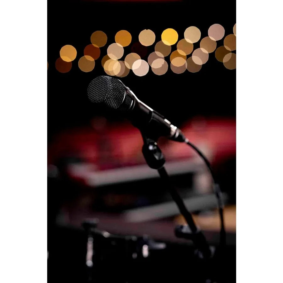Nexadyne 8/C Cardioid Dynamic Vocal Microphone with Revonic Dual-Engine Technology - XLR Wired Mic for Live Vocals, Studio Reco