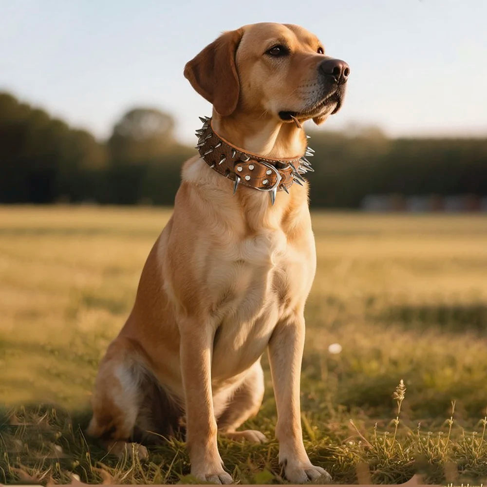 Width 2 Inch Anti-bite Spiked Dog Collars Adjustable PU Leather Necklace Heavy Duty Sharp Rivets Pet Collar Outdoor Dog Walking