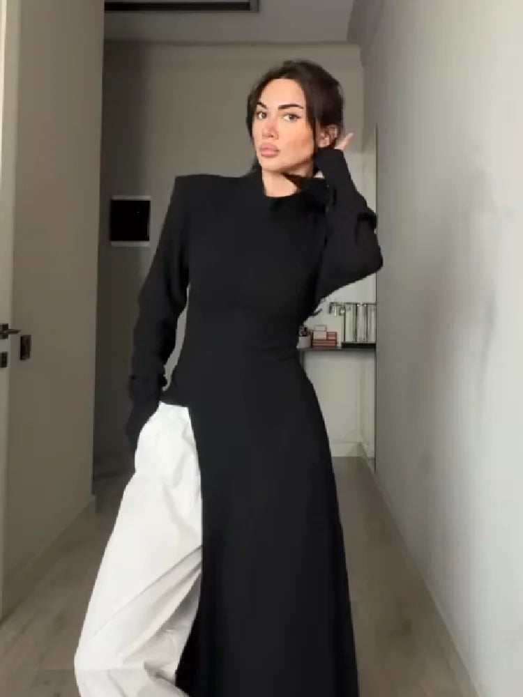 Women's Casual High Neck Long Sleeve Maxi Dress Elegant Waist Slimming Slit Hem Unique Wear Chic Lady Formal Work Meeting Outfit