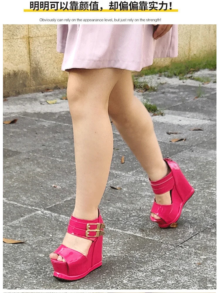 Casual Wedges Thick Platform Sandals 2024 New Women Stage Performance High Heels 14CM Summer Cross-dressing Shoes With Zipper