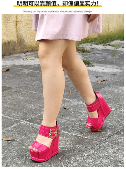 Casual Wedges Thick Platform Sandals 2024 New Women Stage Performance High Heels 14CM Summer Cross-dressing Shoes With Zipper