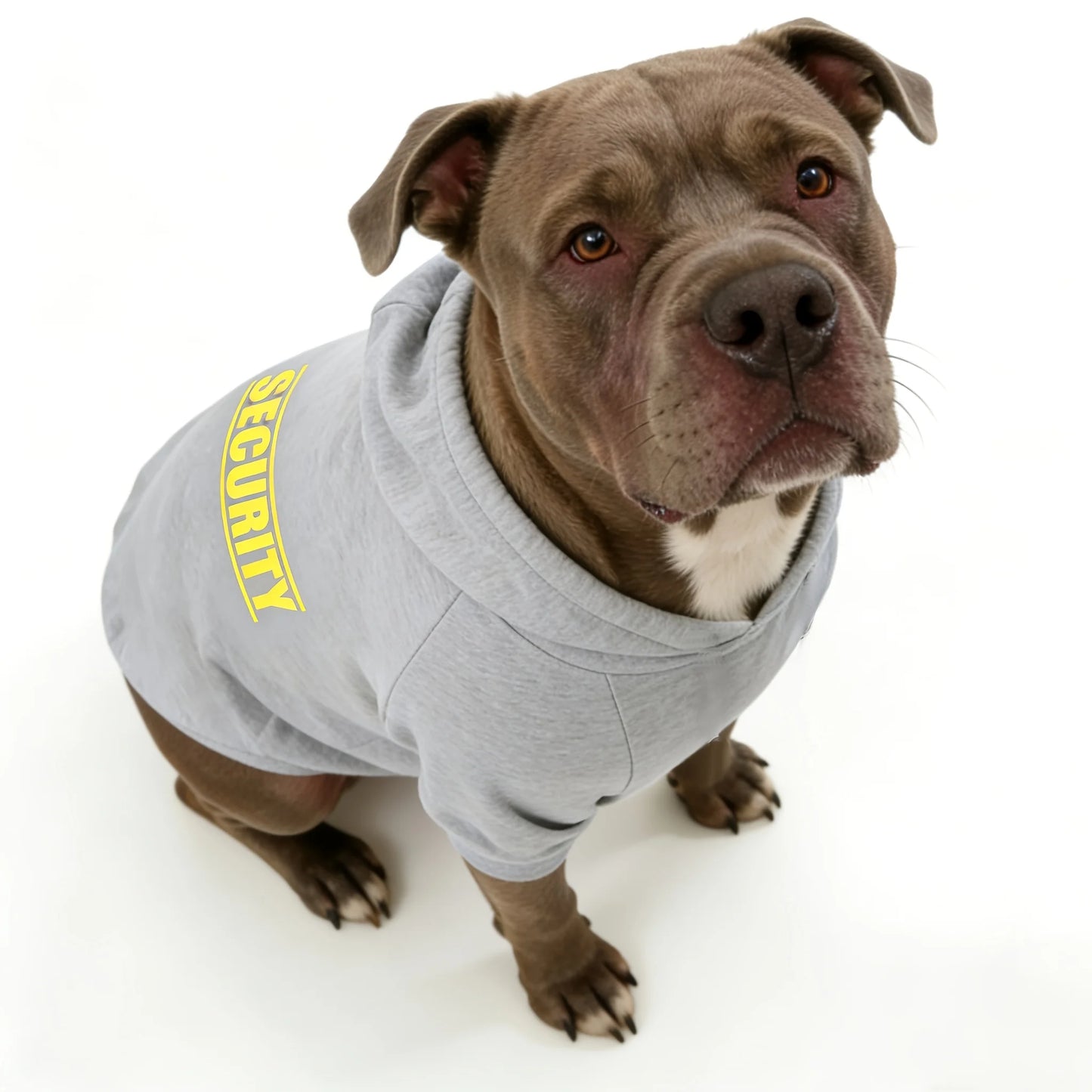 Security Printed Handsome Dog Hoodie Warm Pet Sportswear Medium and Large Dogs Outdoor Safety Pet Clothing  Dog Clothing