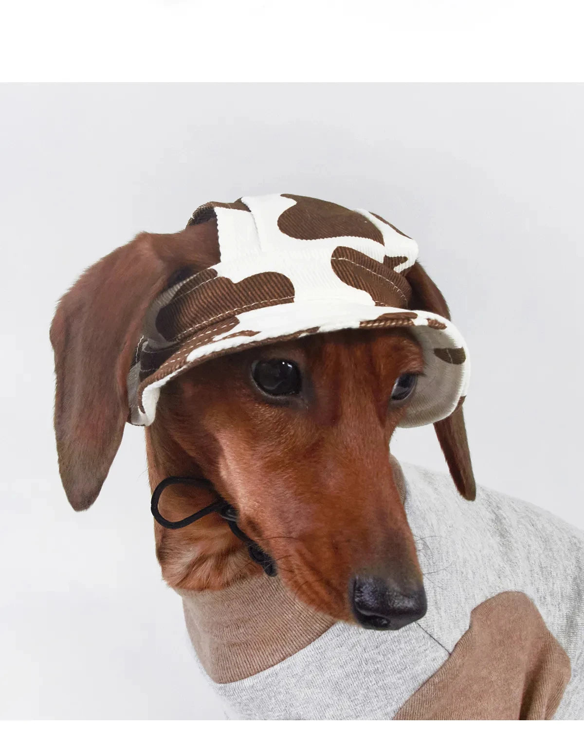 Wiener Dogs Sunscreen Hat Outdoor Hat Ear Holes Adjustable Cap for Badger Dogs Breathable Cool Hat for Small Media Dogs