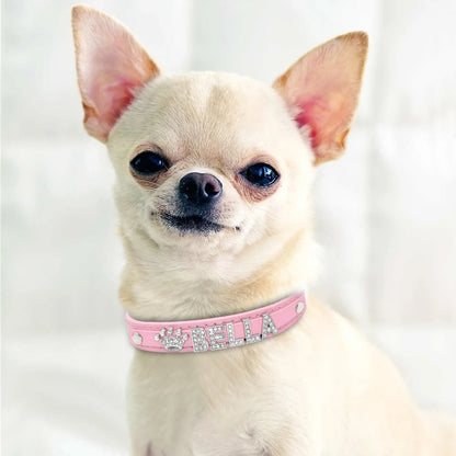 Personalized Small Dogs Chihuahua Collar Bling Rhinestone Dog Collars Free Custom Pet Dogs Cats Name Charms Pet Accessories