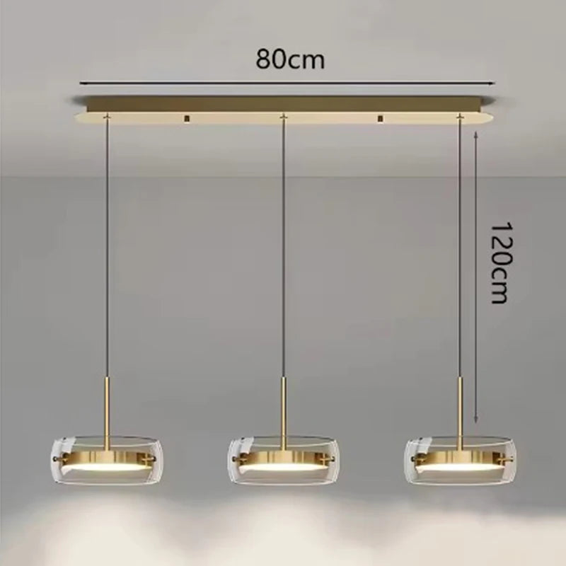 Modern home decor led lights pendant light lamps for living room Chandeliers for dining room hanging light indoor lighting
