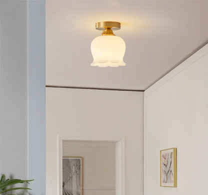 IWHD Home Lighting LED Ceiling Lights Decoration Aisle Porch Living Room Light Fixtures Nordic Ceiling Lamp Resin Copper Lustres