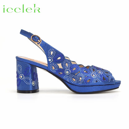 New Fashionable Coffee Color Peep Toe Ladies Shoes Matching Bag Set For Nigerian Women Wedding Party Pump