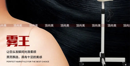 Hair Steamer Luxury Household Oil Treatment Machine Hair Salon