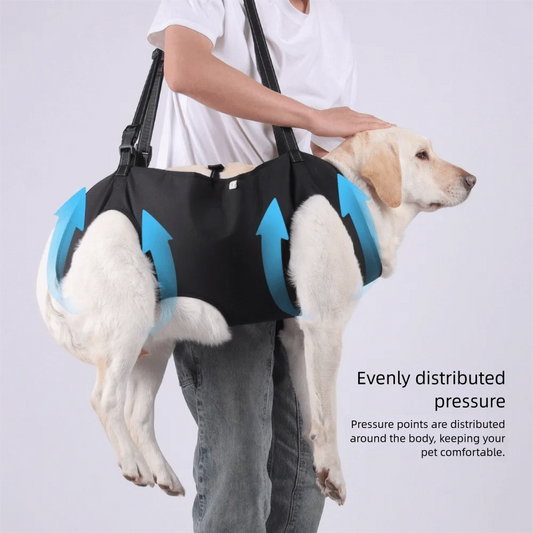 dogs accessAdjustable Dog Lift Harness Comfortable Help with Carrying Pet Backpacks Assisted Rehabilitation Dog Body Support Bag