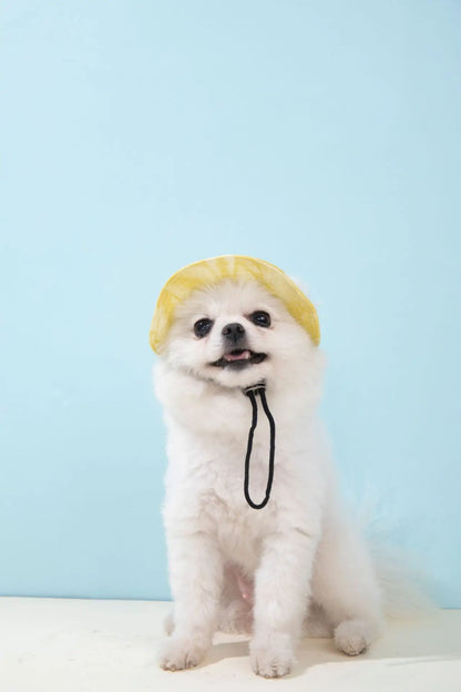 Pets Hat with Ear Holes Adjustable Baseball Cap for Medium Small Dogs Summer Dye Cats Sun Cap Pet Outdoor Hat Pet Supplies