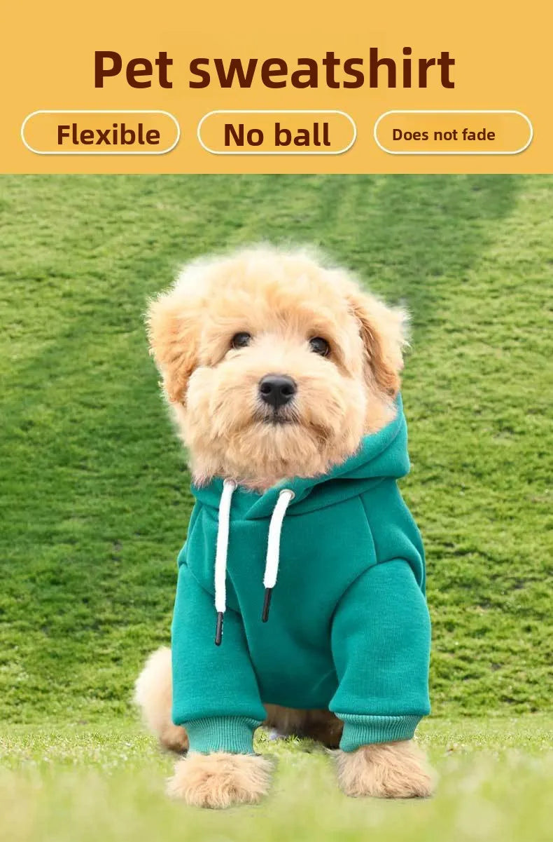 Dog hooded sweatshirt for small and medium-sized dogs, new for autumn and winter