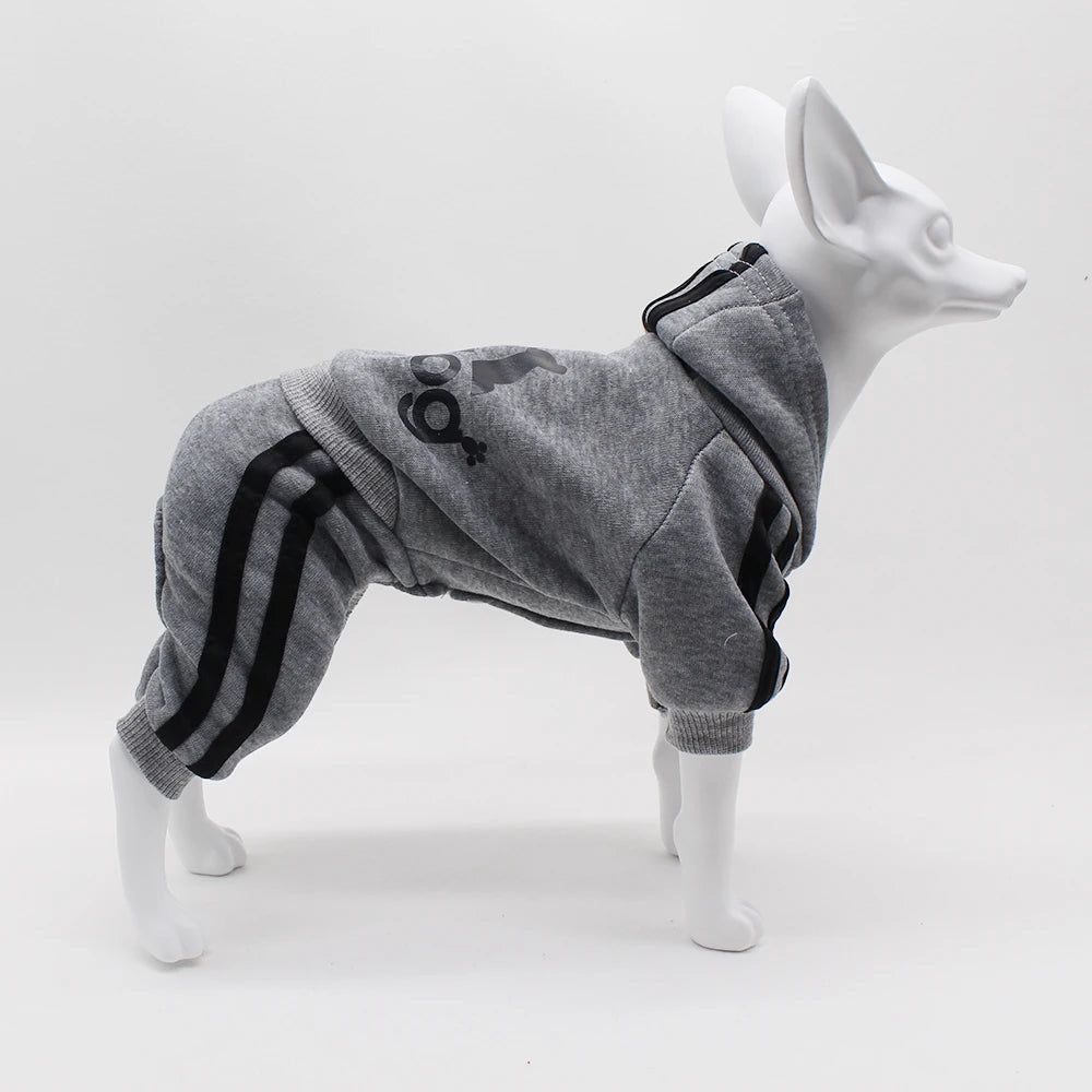 Spring Dog Jumpsuit Sports Suit for Small Dogs - Charming Pet Apparel for Chihuahua Terrier Beagle - Comfortable Clothing