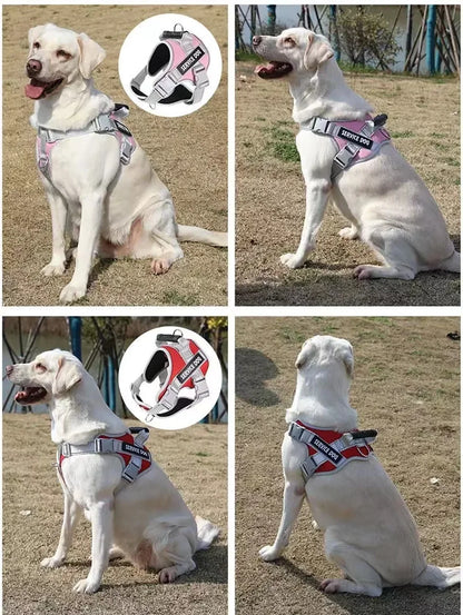 Adjustable Walking Dog Harness, Handle & Leash, No Pull Reflective Pet Vest, Soft Breathable Mesh, Suitable for Small & Big Dogs