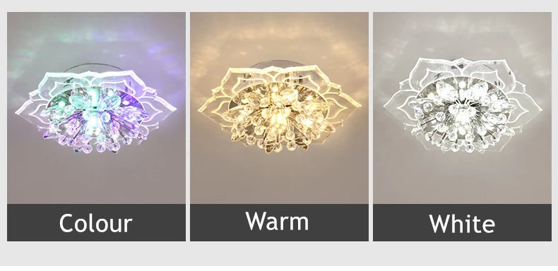 LED Lotus Glass Corridor Ceiling Lights porch Hallway Plastic Leaves Ceiling Lamps Living Room Balcony Ceiling fixtures