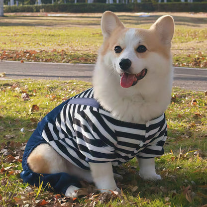 Autumn Winter Pet Dog Soft Fleece Clothes Warm Jumpsuit Coat for Small Medium Large Dog Cat Puppy Jacket Sweater with Leash Ring