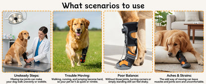 No KnucklingCorrective Dog Shoe,Drop Foot Support with Adjustable Reel, Paw Leg Brace Support - Lift Toes for Arthritis,Mobility