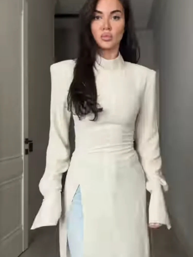 Women's Casual High Neck Long Sleeve Maxi Dress Elegant Waist Slimming Slit Hem Unique Wear Chic Lady Formal Work Meeting Outfit