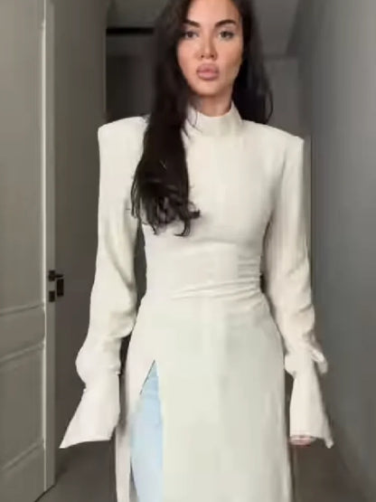 Women's Casual High Neck Long Sleeve Maxi Dress Elegant Waist Slimming Slit Hem Unique Wear Chic Lady Formal Work Meeting Outfit