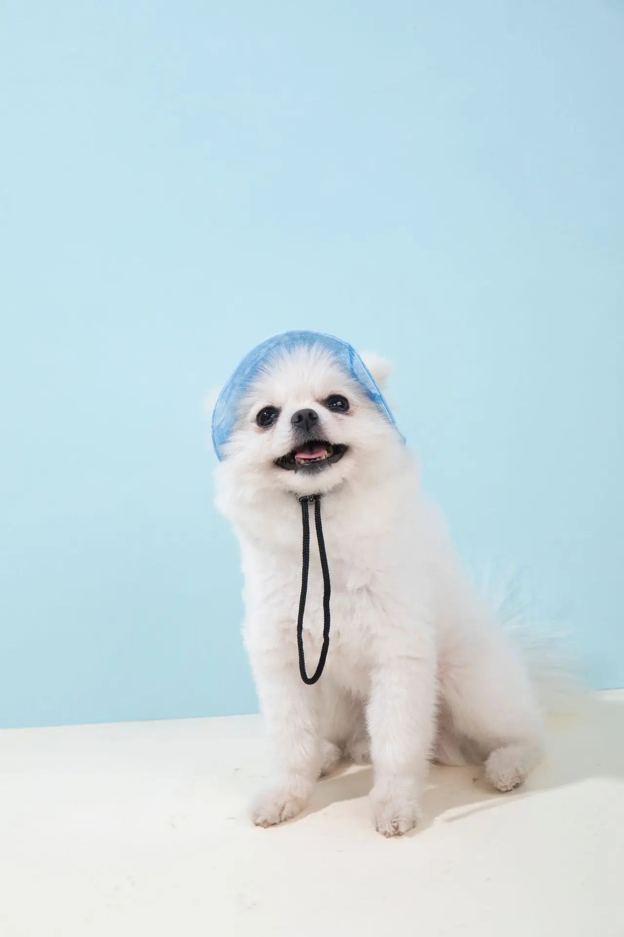 Pets Hat with Ear Holes Adjustable Baseball Cap for Medium Small Dogs Summer Dye Cats Sun Cap Pet Outdoor Hat Pet Supplies