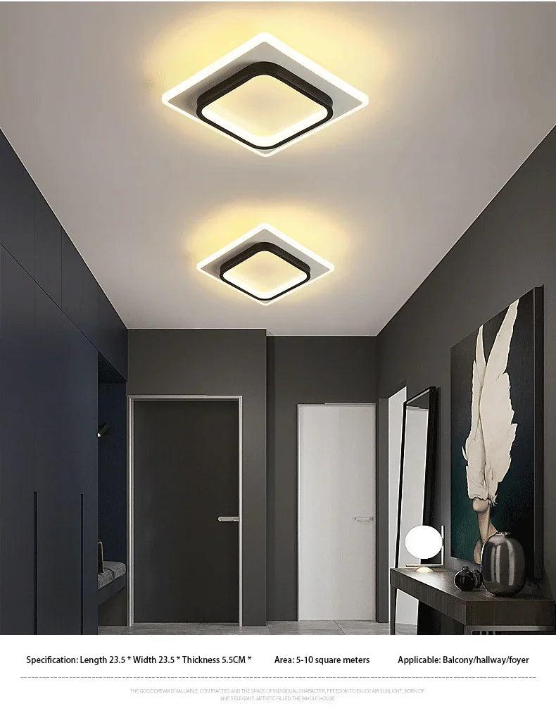 Modern 3 Color Temperature LED Ceiling Lamp Baked Enamel Many Styles Hallway Lamps Balcony Lights Bedroom Living Room 90V-260V