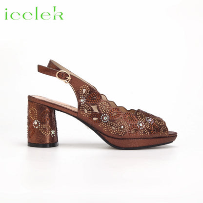 New Fashionable Coffee Color Peep Toe Ladies Shoes Matching Bag Set For Nigerian Women Wedding Party Pump