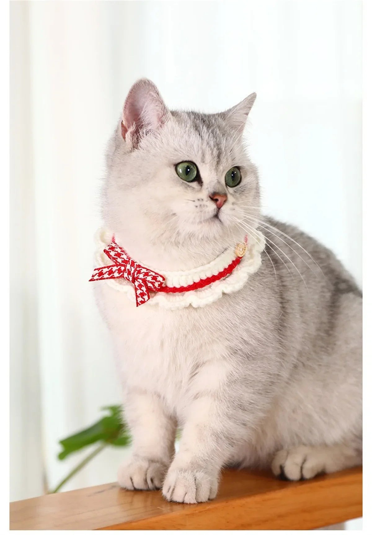 Cute Bow-knot Hand-knitted Saliva Towel Kitten Cat Puppy Adjustable Collar Pet Decorative Dog Cat Collar Pet dog Accessories