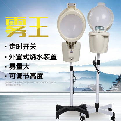 Hair Steamer Luxury Household Oil Treatment Machine Hair Salon
