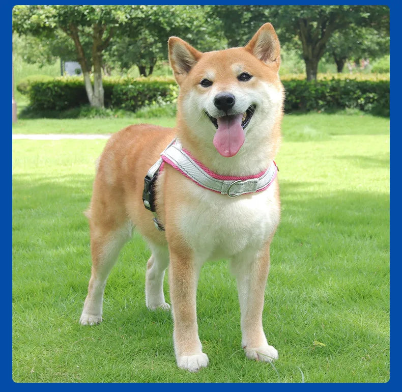 Dog Harness No Pull Saddle-Style Small Medium Dogs Walking No Choke Bichon Outdoor Safety Reflective Vest Pet Chest Harness
