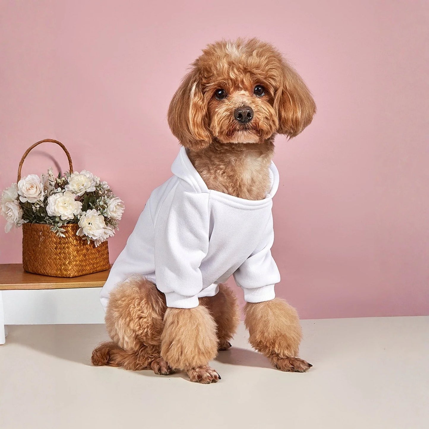 Winter Dog Clothes Sport Hoodies Sweatshirts Warm Coat Clothing Autumn For Small Medium Large Dogs Big Dogs Cat Pets PUppy